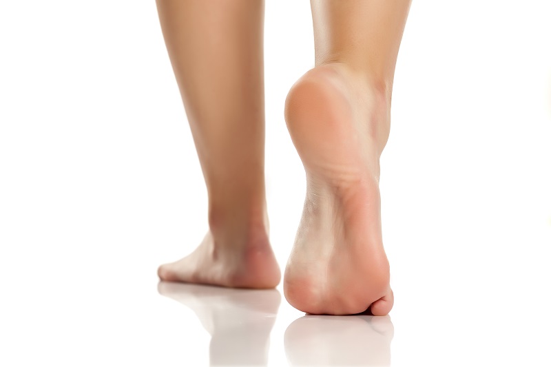 Der Fuß - Fundament unseres Körpers